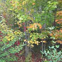 ���� ���, ������ - ��������� 4 ������ 2015 � ������ ���� ����������