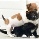  Sergey, , 56  -  20  2015    