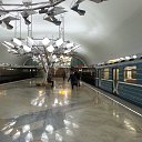 ���� Anatoly., ������, 65 ��� - ��������� 6 ����� 2016 � ������ ���� ����������