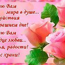 ���� Obid, ���������, 49 ��� - ��������� 11 ������ 2015