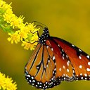  ,  -  18  2016     Ȼ