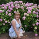 ���� �������, ������, 37 ��� - ��������� 14 ������ 2015