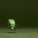 ���� �������, ������, 59 ��� - ��������� 8 ������ 2015 � ������ ���� ����������