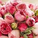 ���� Gena, ������� - ��������� 14 ������ 2016 � ������ ���� ����������