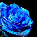 ���� ���, ����������, 41 ��� - ��������� 7 ������� 2016