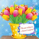 ���� ����, ��� - ��������� 8 ����� 2016 � ������ �������� ��������