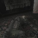 ���� Vlad, ����, 60 ��� - ��������� 17 ������ 2016