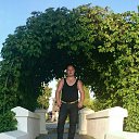 ���� �����, ��������, 36 ��� - ��������� 29 ������ 2016 � ������ ���� ����������