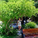   -  !), -, 53  -  8  2016     !