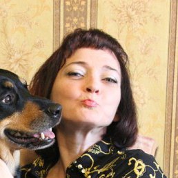 �����, ������, 54 ����