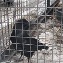 ���� ����, ����, 54 ���� - ��������� 2 ������� 2016 � ������ ���� ����������