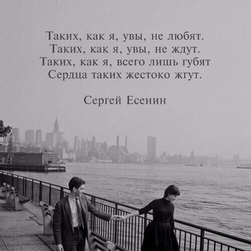 Alexander    - 2  2015  21:24