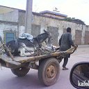 ���� Aleks, ����� ������� - ��������� 12 ������� 2015 � ������ �HORSES�