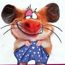  ******, , 53  -  10  2015   