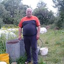 ���� ������, ������ - ��������� 16 ������� 2015 � ������ ���� ���� ������