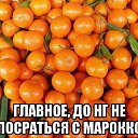 ���� ��������, �����-���������, 59 ��� - ��������� 10 ������� 2015 � ������ ������ ��������