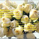 ���� ����, �����-���������, 54 ���� - ��������� 2 ������� 2015