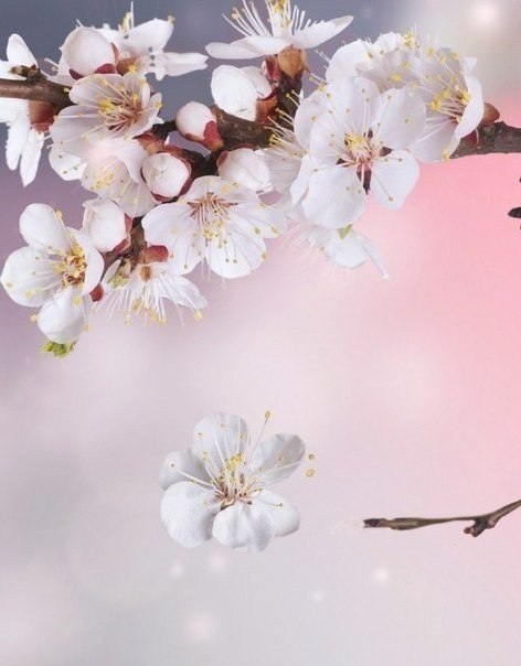 �� ����� �������� 13 ����. - 5