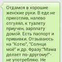 ���� �������, ���������, 38 ��� - ��������� 6 ������� 2016 � ������ ���� ����������