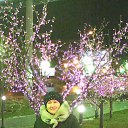 ���� ���������, ����������� - ��������� 12 ������� 2015