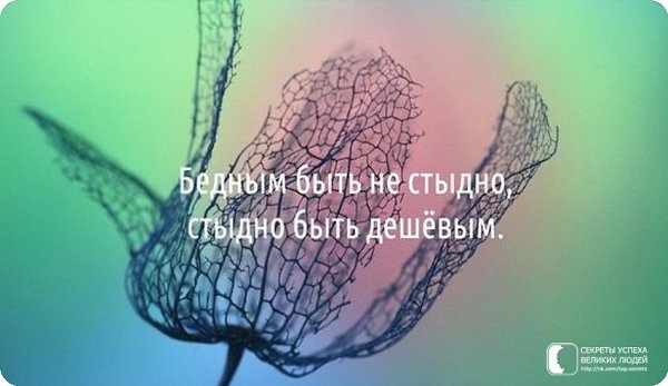     - 12  2015  12:38