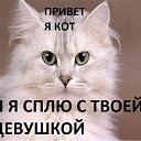 ���� ������, ���������, 34 ���� - ��������� 11 ������ 2016