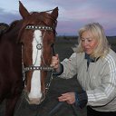 ���� ������ ���������, ������, 64 ���� - ��������� 16 ������� 2015 � ������ ������ ��������