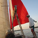  A, , 78  -  29  2015    