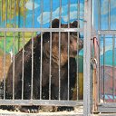 ���� �������, �������, 50 ��� - ��������� 13 ������� 2016 � ������ ���� ����������