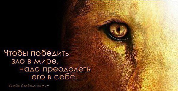 � ������� �� ����� - 6 ����� 2016 � 09:41