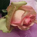 ���� �����, �������-�����, 53 ���� - ��������� 1 ������� 2015