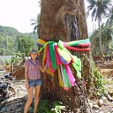 ���� �����, ����������� - ��������� 8 ������� 2016 � ������ ���� ����������