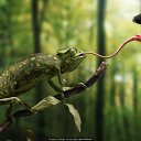 ���� ������, ��������� - ��������� 23 ������ 2016 � ������ ���� ����������