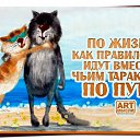 ���� Igor, �����-���������, 75 ��� - ��������� 29 ������ 2016 � ������ ������ ��������