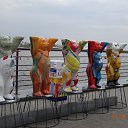  ,  -  24  2015    2015 