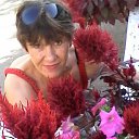 ���� �������, �������� - ��������� 11 ������� 2016 � ������ �...������ ��