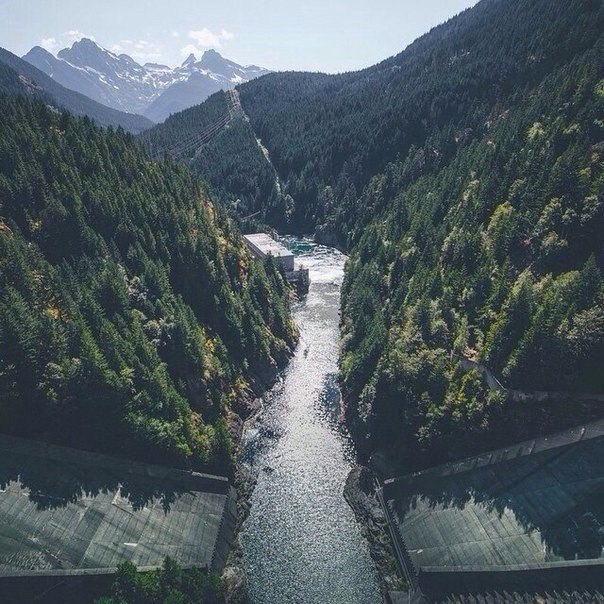 Нет времени лучше осени, чтобы приступить к забыванию всего, что томит и тревожит. Надо стрясти с ... - 2