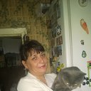 ���� �����, ���������, 49 ��� - ��������� 8 ������ 2016 � ������ ������ ��������