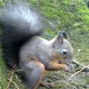 ���� ������, �����������, 58 ��� - ��������� 14 ������ 2015 � ������ ���� ����������