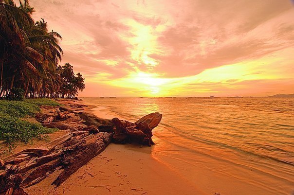 ��������� �����-����-����, ������ - 7