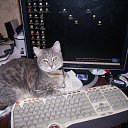 ���� -��������� �� ������� ���� ��������