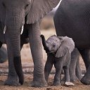 ���� Lee, ������ - ��������� 13 ������ 2015 � ������ �������)))�