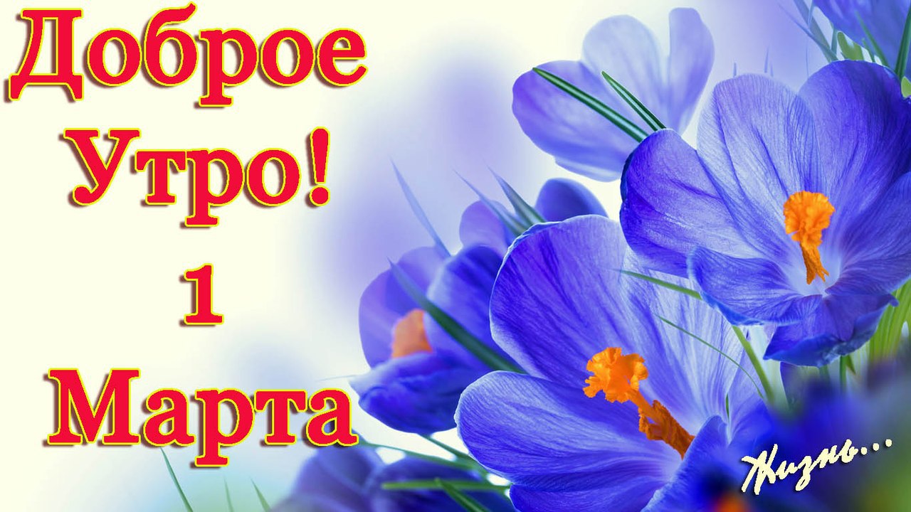�������� - 1 ����� 2016 � 06:42