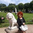 ���� �����, ������������ - ��������� 7 ������� 2016 � ������ �������. �����-������� �������.�