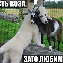 ���� ������, ������-��-���� - ��������� 28 ������ 2015 � ������ ���� ����������