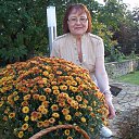 ���� �������, ������, 75 ��� - ��������� 26 �������� 2015 � ������ �� �������...�