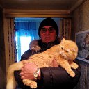 ���� �����, �������, 61 ��� - ��������� 7 ������� 2015 � ������ ������ ��������