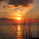 ���� Ya, ������ - ��������� 8 ������ 2015 � ������ ���� ����������