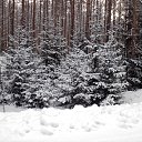  ******, , 53  -  27  2015    