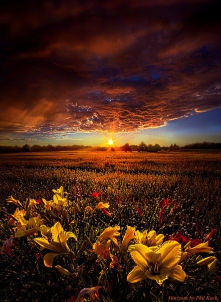  Phil Koch.
